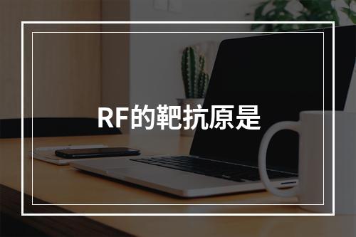 RF的靶抗原是