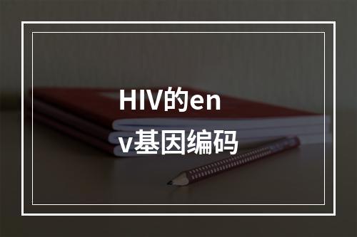 HIV的env基因编码