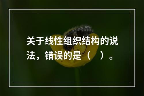 关于线性组织结构的说法，错误的是（　）。