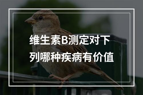 维生素B测定对下列哪种疾病有价值