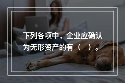 下列各项中，企业应确认为无形资产的有（　）。