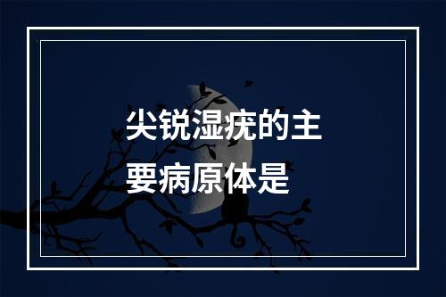 尖锐湿疣的主要病原体是