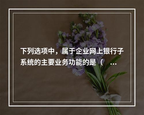 下列选项中，属于企业网上银行子系统的主要业务功能的是（　　）