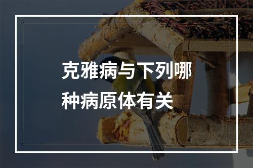 克雅病与下列哪种病原体有关