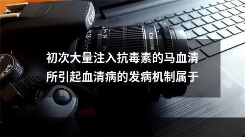 初次大量注入抗毒素的马血清所引起血清病的发病机制属于