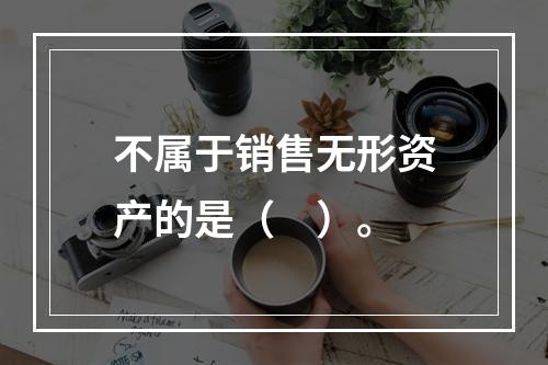 不属于销售无形资产的是（　）。