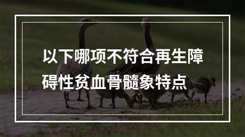 以下哪项不符合再生障碍性贫血骨髓象特点