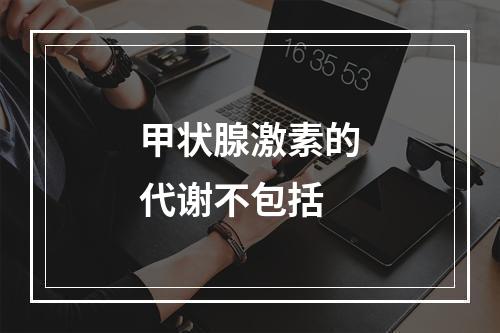 甲状腺激素的代谢不包括