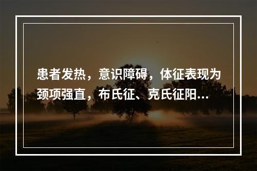 患者发热，意识障碍，体征表现为颈项强直，布氏征、克氏征阳性，