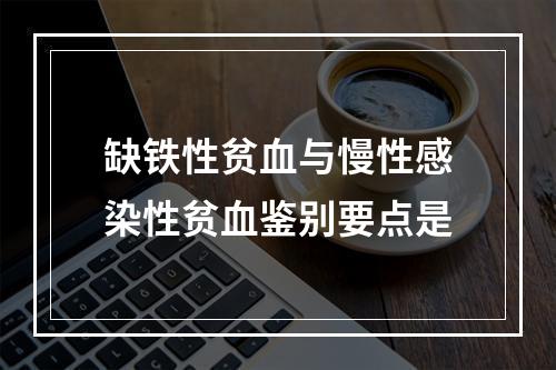 缺铁性贫血与慢性感染性贫血鉴别要点是