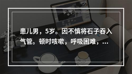 患儿男，5岁。因不慎将石子吞入气管。顿时咳嗽，呼吸困难，面色