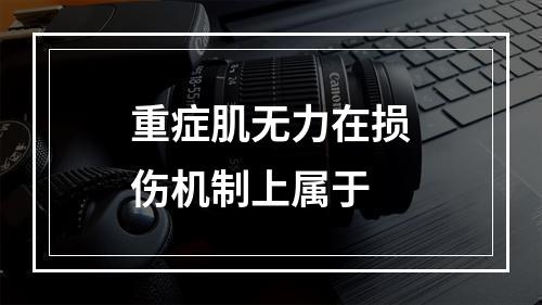 重症肌无力在损伤机制上属于