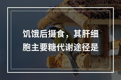 饥饿后摄食，其肝细胞主要糖代谢途径是