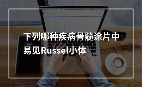 下列哪种疾病骨髓涂片中易见Russel小体