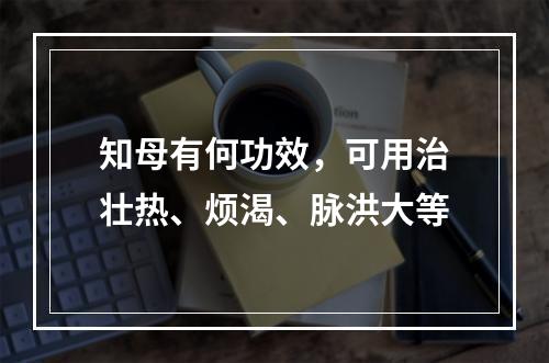 知母有何功效，可用治壮热、烦渴、脉洪大等