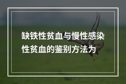 缺铁性贫血与慢性感染性贫血的鉴别方法为