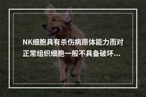 NK细胞具有杀伤病原体能力而对正常组织细胞一般不具备破坏作用