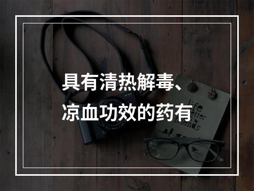 具有清热解毒、凉血功效的药有