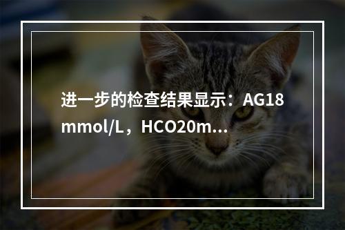 进一步的检查结果显示：AG18mmol/L，HCO20mmo