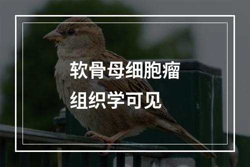 软骨母细胞瘤组织学可见