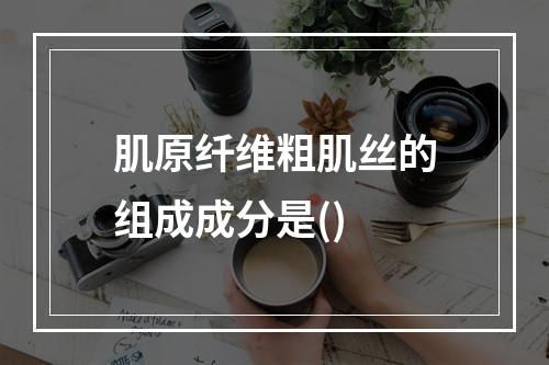 肌原纤维粗肌丝的组成成分是()