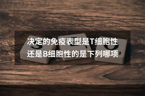 决定的免疫表型是T细胞性还是B细胞性的是下列哪项