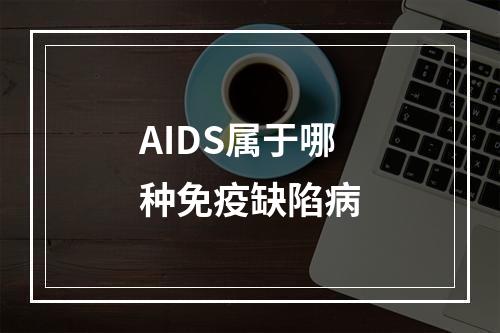 AIDS属于哪种免疫缺陷病