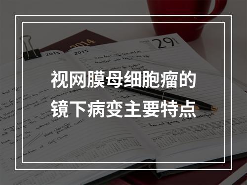 视网膜母细胞瘤的镜下病变主要特点