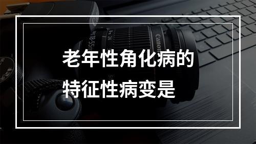 老年性角化病的特征性病变是