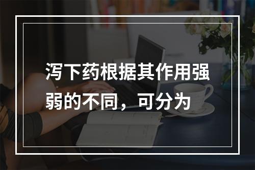 泻下药根据其作用强弱的不同，可分为