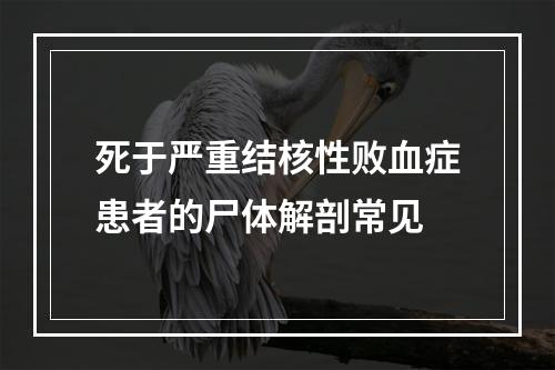 死于严重结核性败血症患者的尸体解剖常见