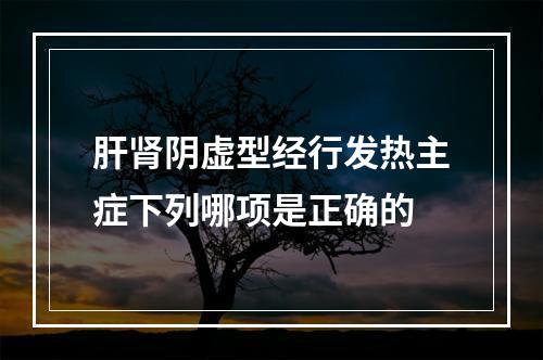 肝肾阴虚型经行发热主症下列哪项是正确的