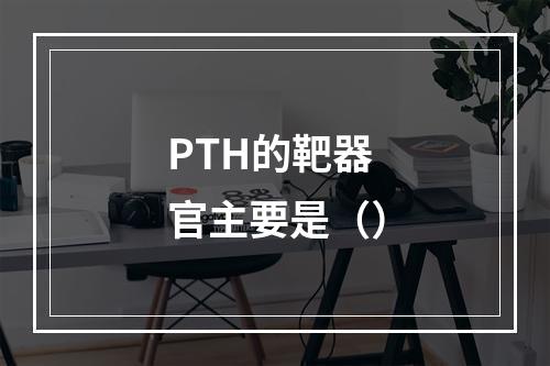 PTH的靶器官主要是（）