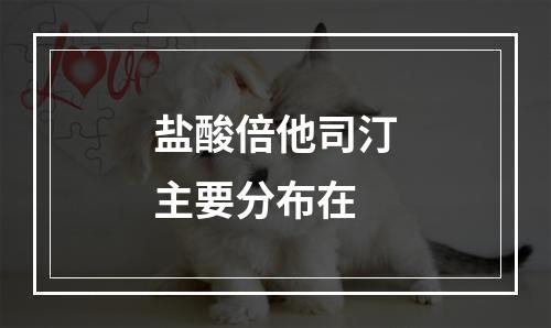 盐酸倍他司汀主要分布在