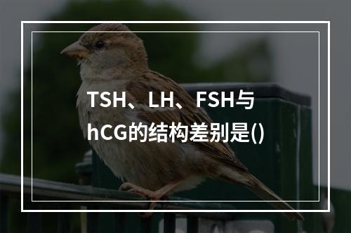 TSH、LH、FSH与hCG的结构差别是()