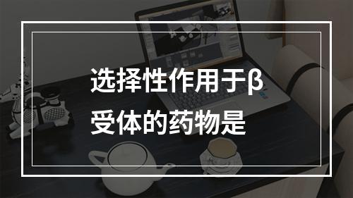 选择性作用于β受体的药物是