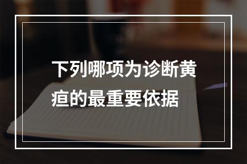 下列哪项为诊断黄疸的最重要依据