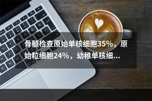 骨髓检查原始单核细胞35％，原始粒细胞24％，幼稚单核细胞1