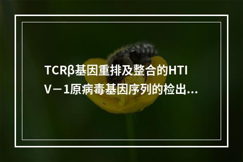 TCRβ基因重排及整合的HTIV－1原病毒基因序列的检出是下