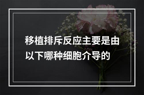 移植排斥反应主要是由以下哪种细胞介导的