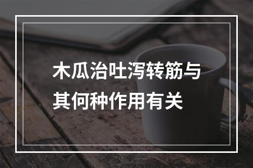 木瓜治吐泻转筋与其何种作用有关