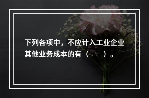 下列各项中，不应计入工业企业其他业务成本的有（　　）。