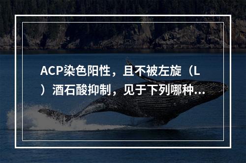 ACP染色阳性，且不被左旋（L）酒石酸抑制，见于下列哪种白血