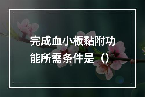 完成血小板黏附功能所需条件是（）