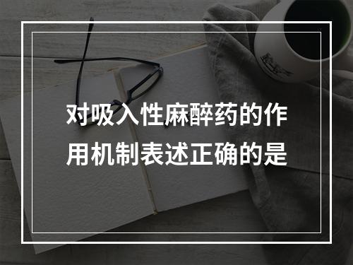 对吸入性麻醉药的作用机制表述正确的是