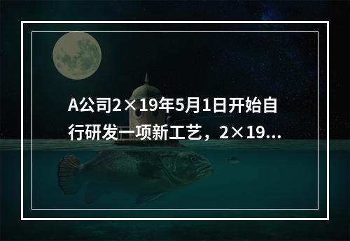 A公司2×19年5月1日开始自行研发一项新工艺，2×19年5