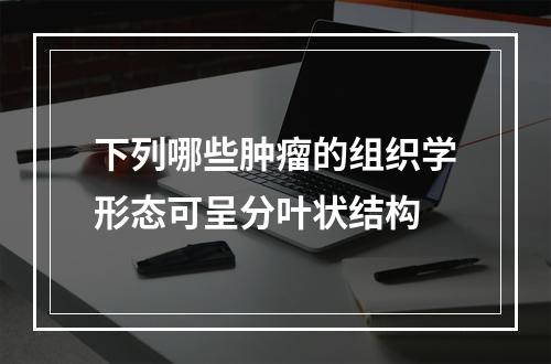 下列哪些肿瘤的组织学形态可呈分叶状结构