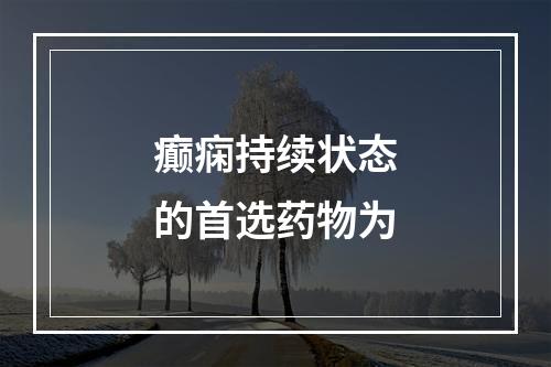 癫痫持续状态的首选药物为