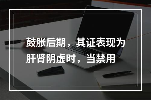 鼓胀后期，其证表现为肝肾阴虚时，当禁用