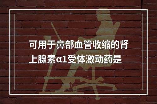 可用于鼻部血管收缩的肾上腺素α1受体激动药是